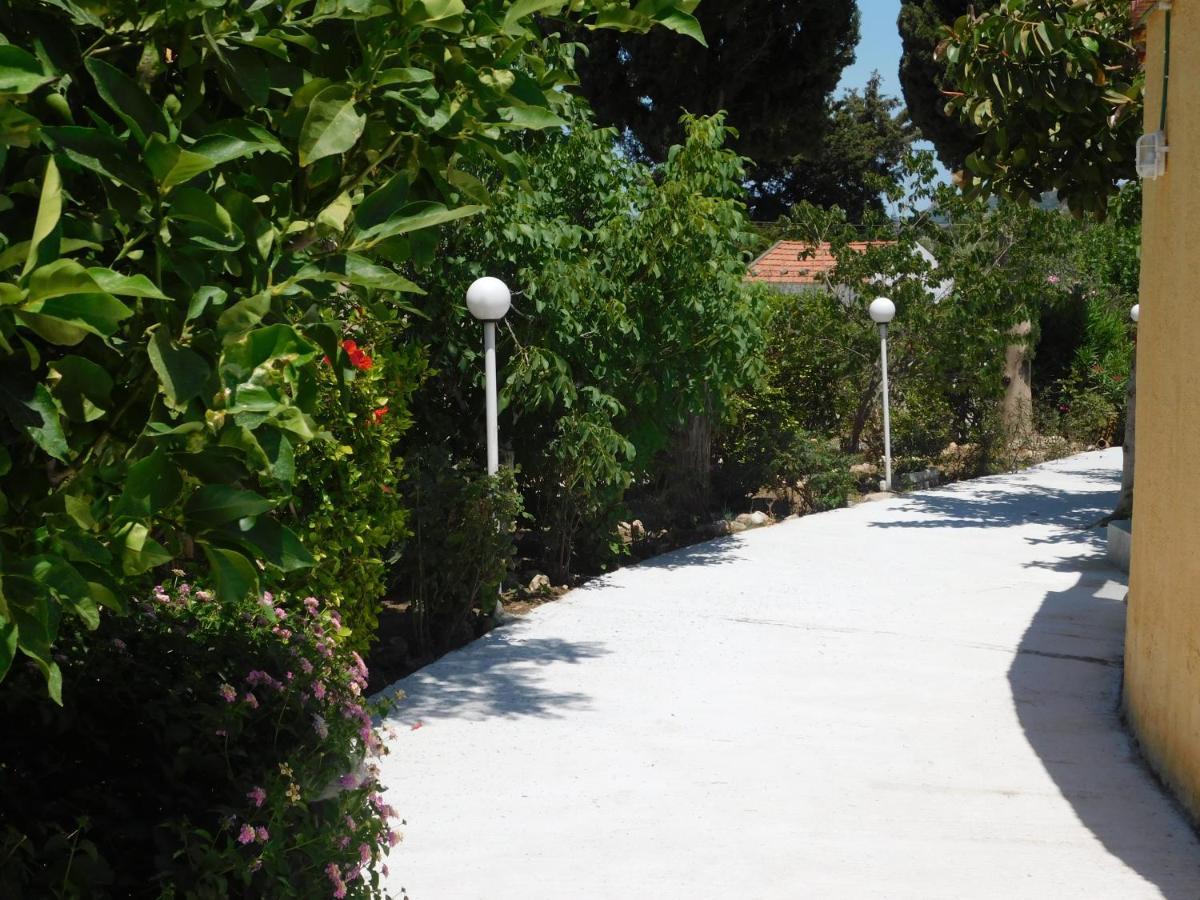 Villa Sofia เอียลิซอส ภายนอก รูปภาพ