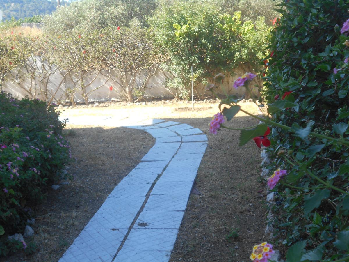 Villa Sofia เอียลิซอส ภายนอก รูปภาพ