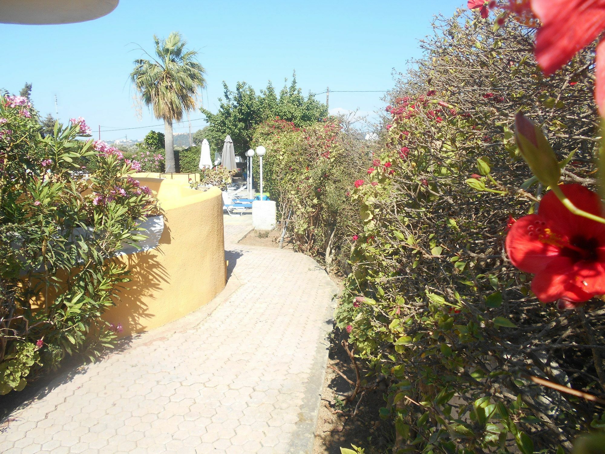 Villa Sofia เอียลิซอส ภายนอก รูปภาพ